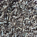 kava kava root