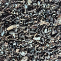 angelica root