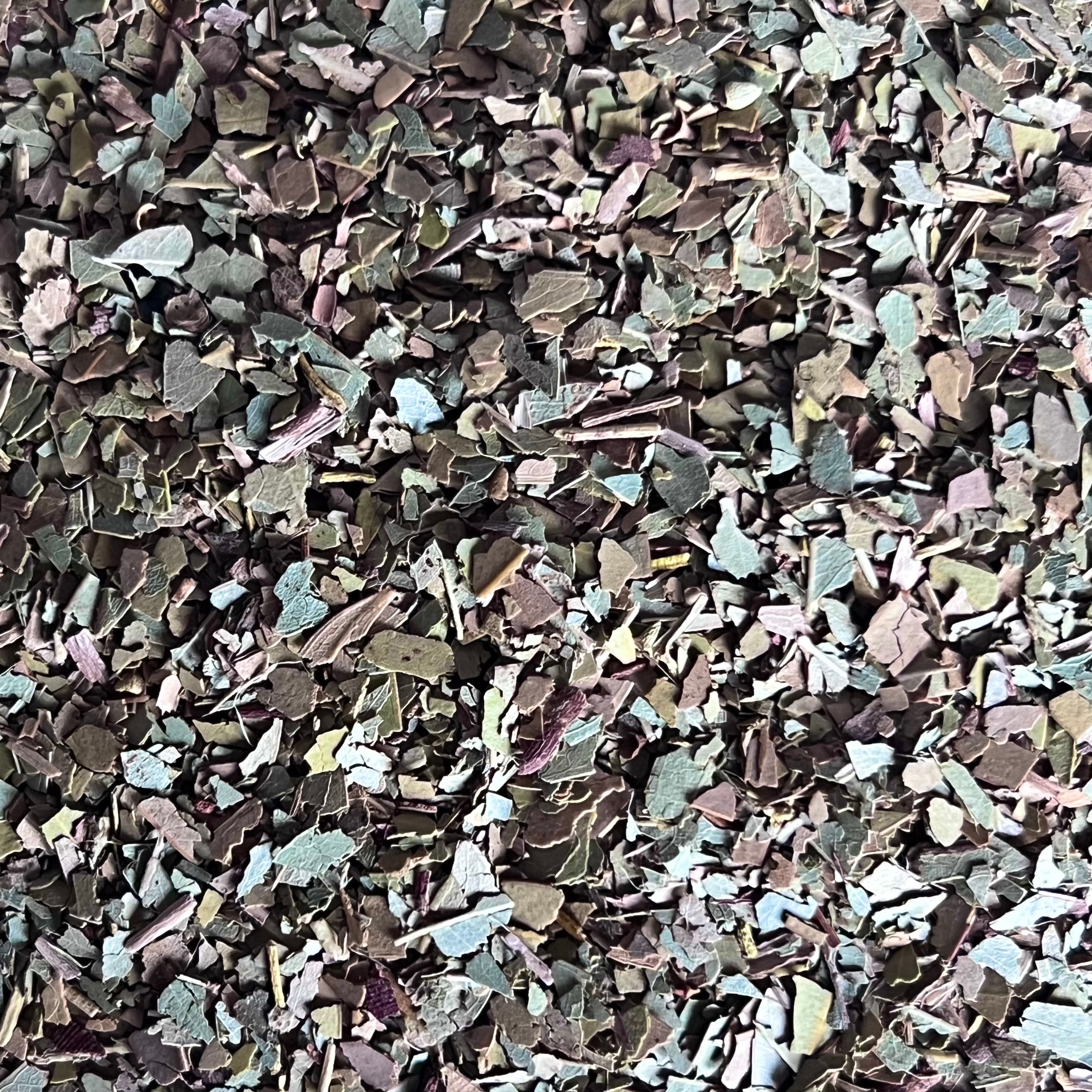 eucalyptus