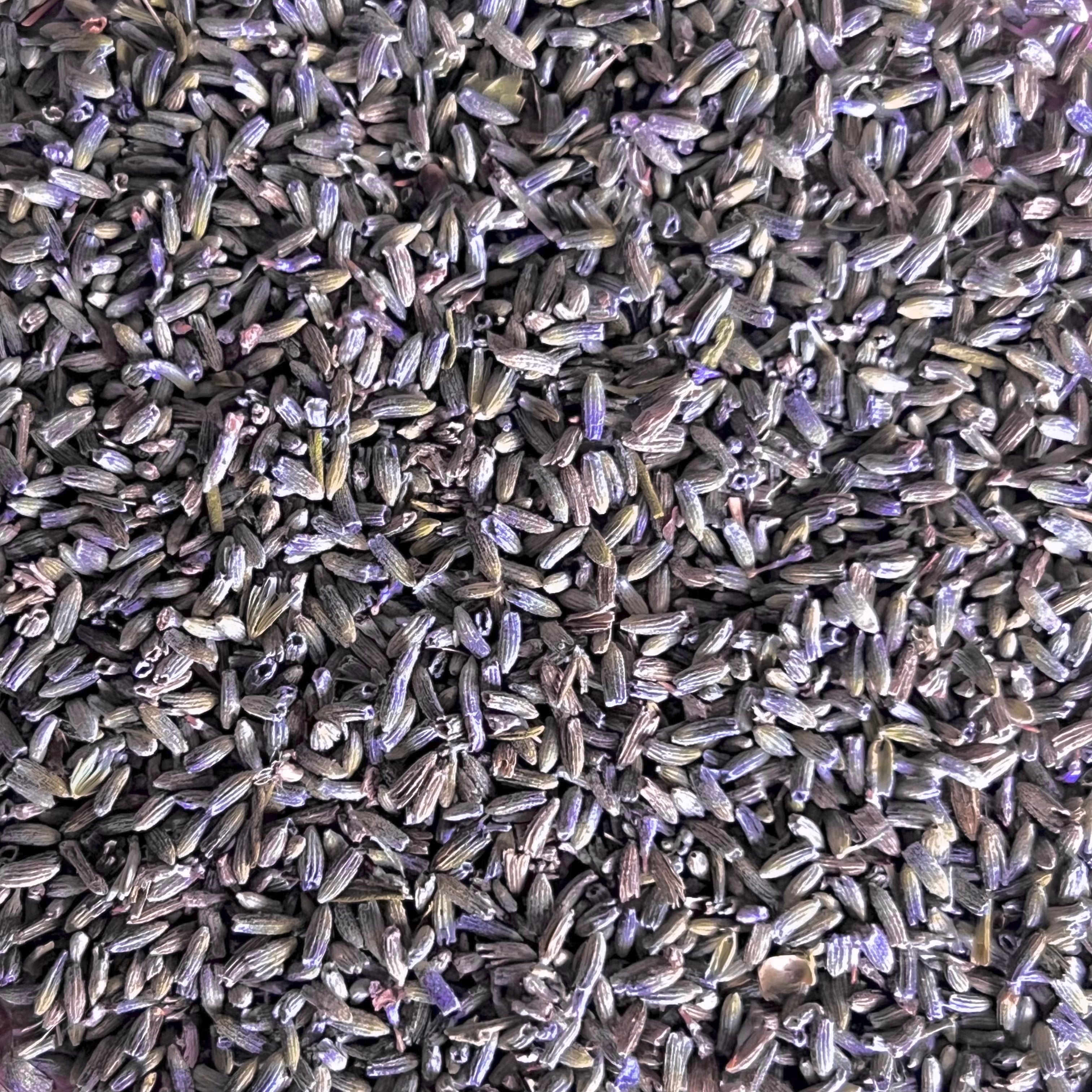 lavender