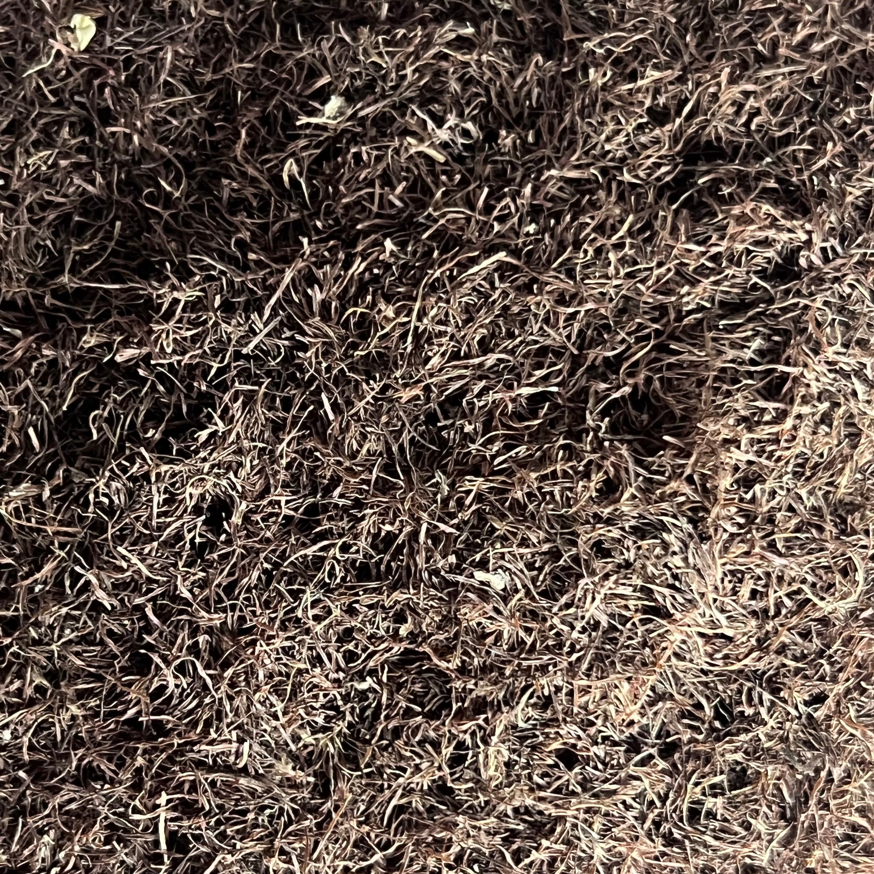 cornsilk