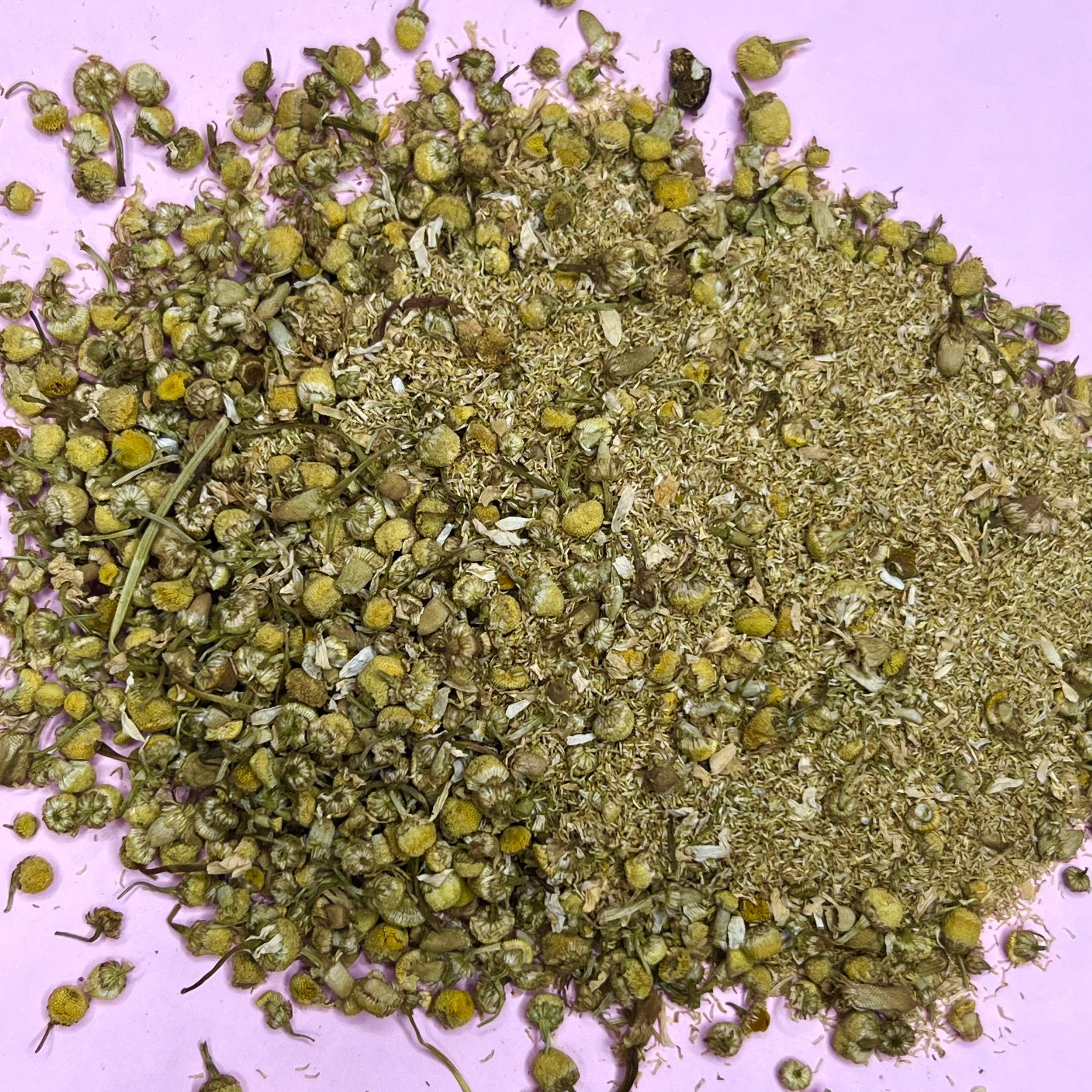 chamomile